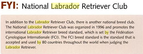 In addition to the Labrador Retriever Club, there is another national breed club. The National Labrador Retriever Club was organized in 1996 and promotes the international Labrador Retriever breed standard, which is set by the Federation Cynologique Internationale (FCI). The FCI breed standard is the standard that is accepted and used by 80 countries throughout the world when judging the Labrador Retriever.